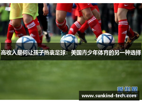 高收入是何让孩子热衷足球：美国青少年体育的另一种选择