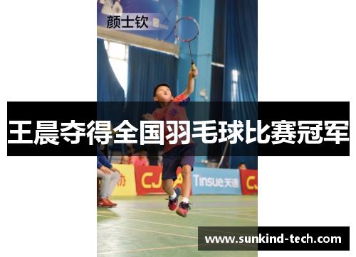 王晨夺得全国羽毛球比赛冠军